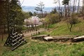 フィールドアスレチックの風景