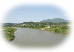 千曲川の写真