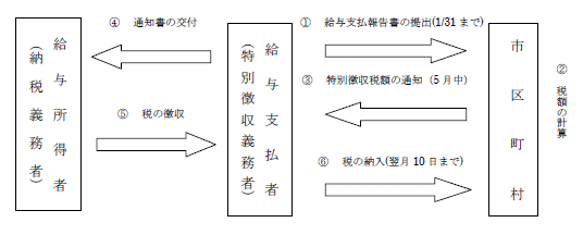 給与特徴図式 給与特徴図式