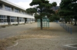 中野小学校前庭の写真