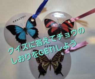 しおり