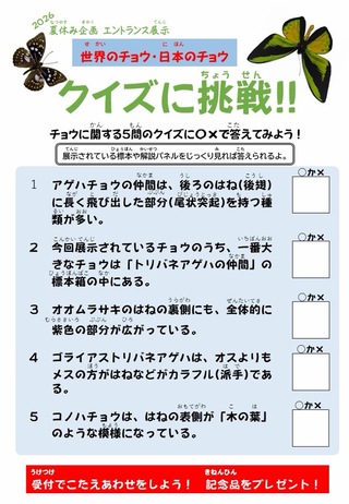 クイズ