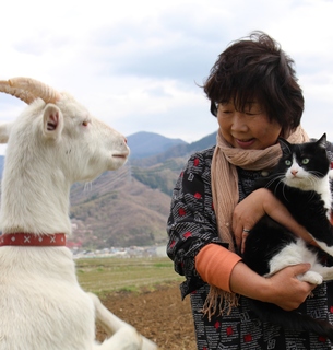 ヤギと見つめあう猫を抱いた信州百姓隊事業協同組合さんの写真