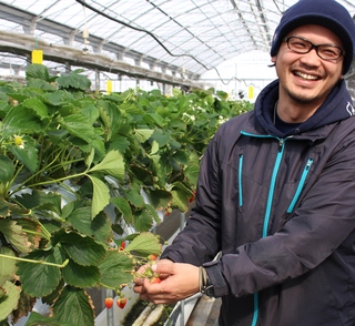 笑顔でイチゴの世話をする住化ファーム長野さんの写真