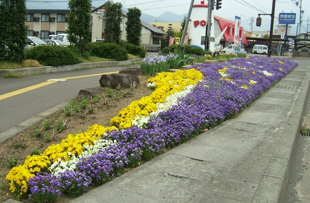 新井花壇