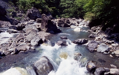 詩人 渓流