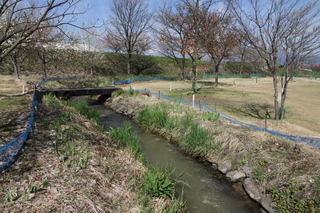 夜間瀬川河川公園（小川）