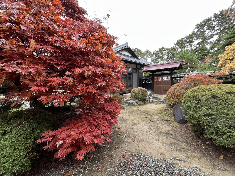 写真：紅葉の園路2