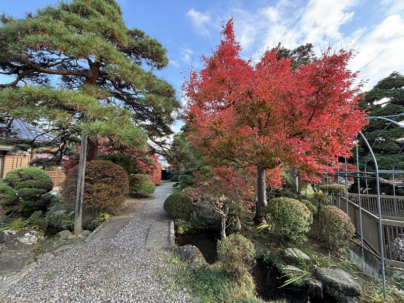 写真：紅葉の園路3