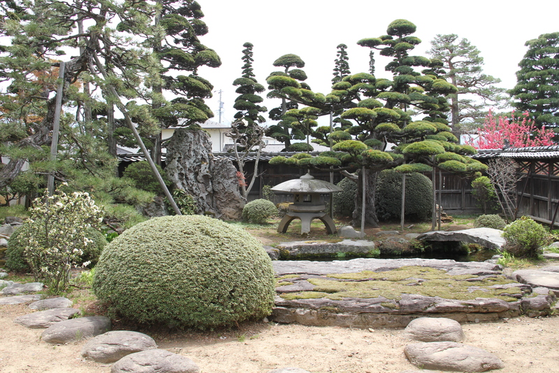 写真：庭園