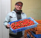 ひくシオたすベジ献立の写真