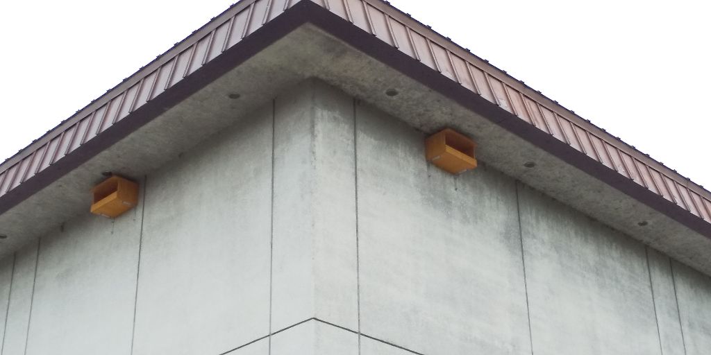 写真：巣箱が設置された風景