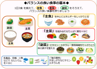 バランス食