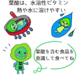 葉酸