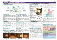 page 1 thumbnail