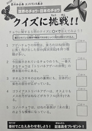 クイズ クイズ