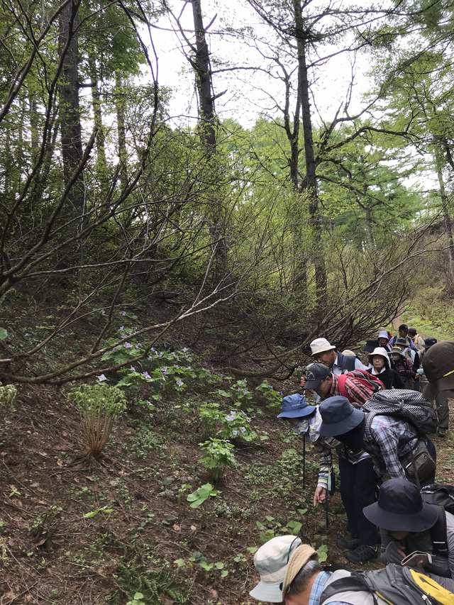 写真：森を歩く受講者