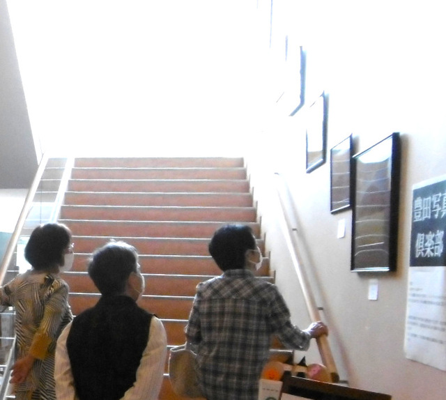 写真：展示を見る来館者