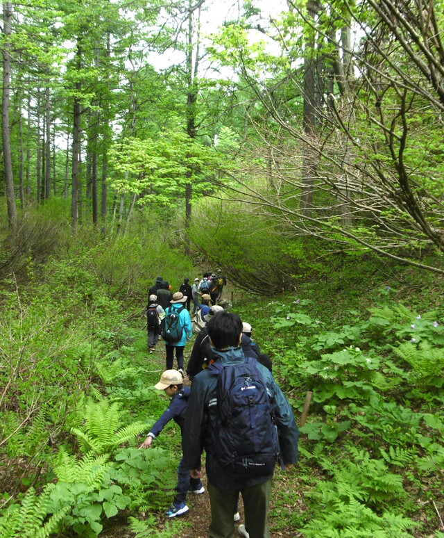 写真：森を歩く受講者の親子