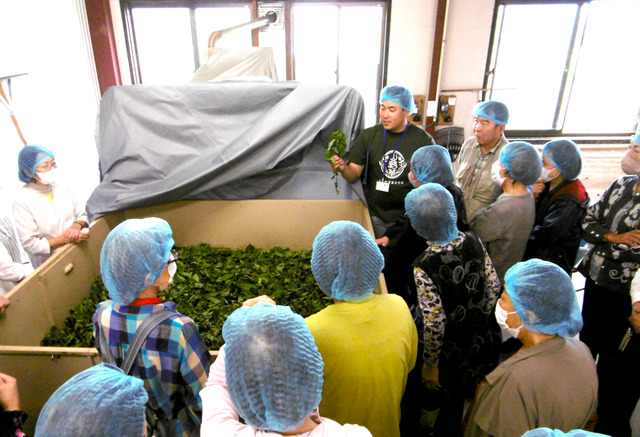 写真：茶葉の説明を受ける受講者