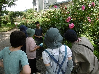 鉢バラを育てよう講座の様子の写真