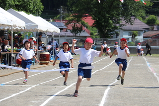 H29_06_03_運動会_倭小 1
