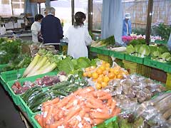 陳列された野菜の写真