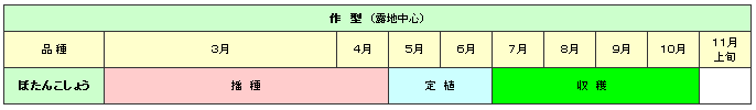 ぼたんこしょうの生育スケジュール　3月～4月 播種 5月～6月 定植 7月～10月 収穫