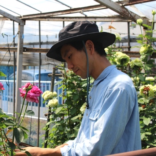 バラの手入れをする荒井バラ園さんの写真