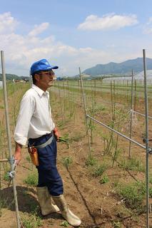 アスパラを手に持ち畑を見渡す郷道さんの写真