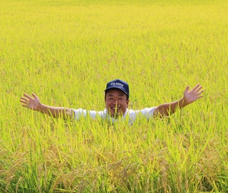黄金色に輝く田んぼの真ん中で笑顔の小柳農園さんの写真